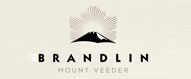 brandlin brandlin